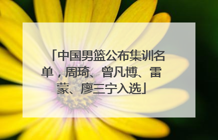 中国男篮公布集训名单，周琦、曾凡博、雷蒙、廖三宁入选