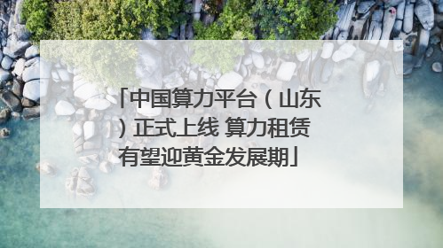 中国算力平台（山东）正式上线 算力租赁有望迎黄金发展期
