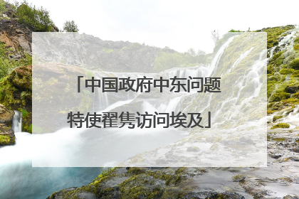 中国政府中东问题特使翟隽访问埃及