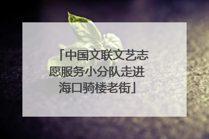 中国文联文艺志愿服务小分队走进海口骑楼老街