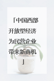 中国西部开放型经济为民营企业带来新商机