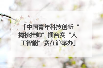 中国青年科技创新“揭榜挂帅”擂台赛“人工智能”赛在沪举办