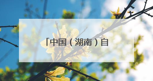 中国（湖南）自贸试验区对非合作创新成果发布 长沙片区对非贸易年均增长141%