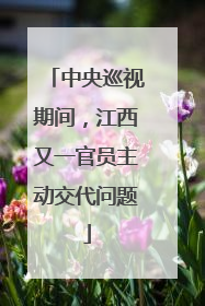 中央巡视期间，江西又一官员主动交代问题