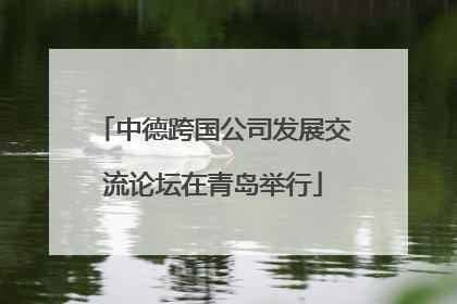 中德跨国公司发展交流论坛在青岛举行