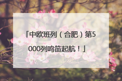 中欧班列（合肥）第5000列鸣笛起航！