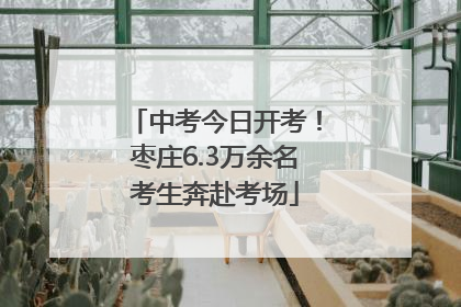 中考今日开考！枣庄6.3万余名考生奔赴考场