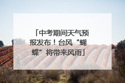 中考期间天气预报发布！台风“蝴蝶”将带来风雨