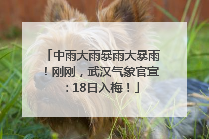 中雨大雨暴雨大暴雨！刚刚，武汉气象官宣：18日入梅！