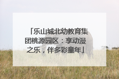 乐山城北幼教育集团桃源园区：享动漫之乐，伴多彩童年