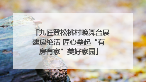 九匠登松桃村晚舞台展建房绝活 匠心垒起“有房有家”美好家园