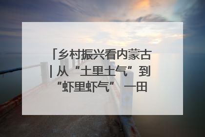 乡村振兴看内蒙古｜从“土里土气”到“虾里虾气” 一田双收模式火出圈