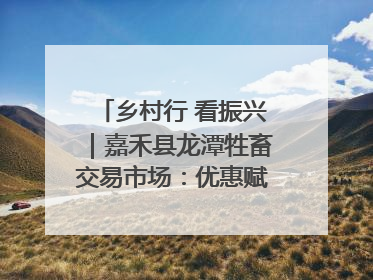 乡村行 看振兴｜嘉禾县龙潭牲畜交易市场：优惠赋能促交易 乡村振兴添动能