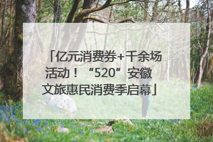 亿元消费券+千余场活动！“520”安徽文旅惠民消费季启幕