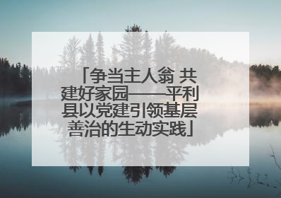 争当主人翁 共建好家园——平利县以党建引领基层善治的生动实践