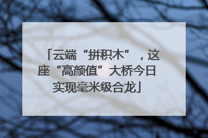 云端“拼积木”，这座“高颜值”大桥今日实现毫米级合龙