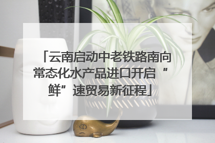 云南启动中老铁路南向常态化水产品进口开启“鲜”速贸易新征程