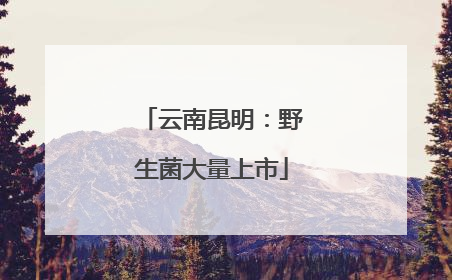 云南昆明：野生菌大量上市