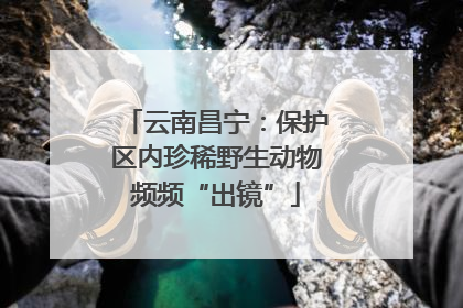 云南昌宁：保护区内珍稀野生动物频频“出镜”