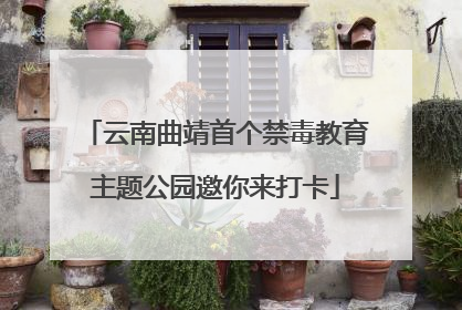 云南曲靖首个禁毒教育主题公园邀你来打卡