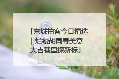 京城拍客今日精选｜烂缦胡同寻美意 大吉巷里探新标