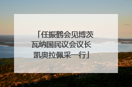 任振鹤会见博茨瓦纳国民议会议长凯奥拉佩采一行