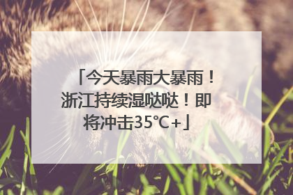 今天暴雨大暴雨！浙江持续湿哒哒！即将冲击35℃+