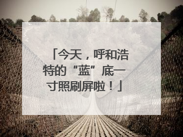 今天，呼和浩特的“蓝”底一寸照刷屏啦！