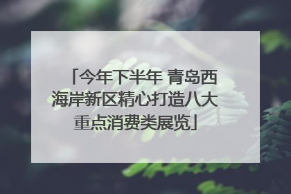 今年下半年 青岛西海岸新区精心打造八大重点消费类展览