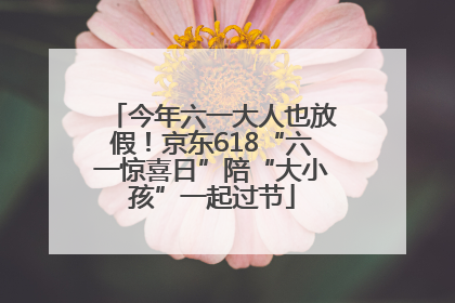 今年六一大人也放假！京东618“六一惊喜日”陪“大小孩”一起过节