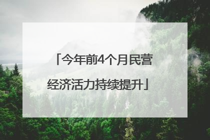 今年前4个月民营经济活力持续提升