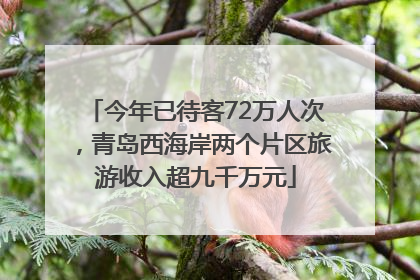 今年已待客72万人次，青岛西海岸两个片区旅游收入超九千万元