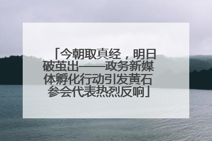 今朝取真经，明日破茧出——政务新媒体孵化行动引发黄石参会代表热烈反响