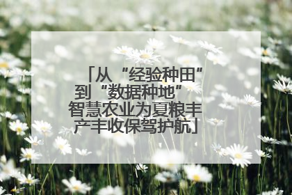 从“经验种田”到“数据种地” 智慧农业为夏粮丰产丰收保驾护航