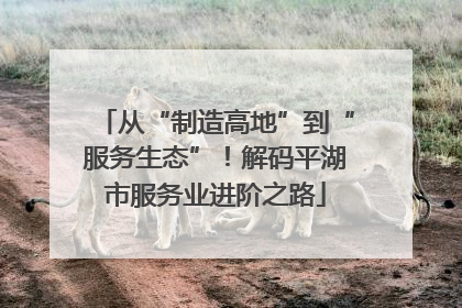 从“制造高地”到“服务生态”！解码平湖市服务业进阶之路