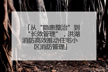 从“隐患整治”到“长效管理”，洪湖消防高效推动住宅小区消防管理