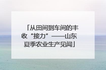从田间到车间的丰收“接力”——山东夏季农业生产见闻