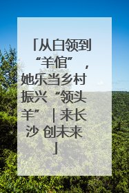 从白领到“羊倌”，她乐当乡村振兴“领头羊”｜来长沙 创未来
