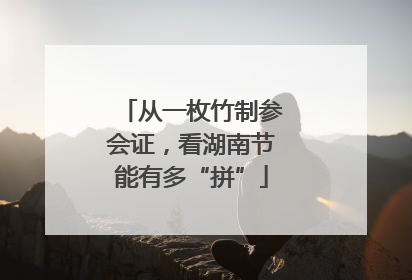 从一枚竹制参会证，看湖南节能有多“拼”