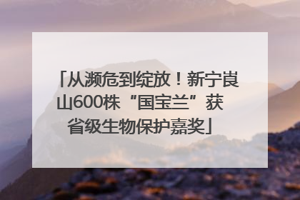 从濒危到绽放！新宁崀山600株“国宝兰”获省级生物保护嘉奖