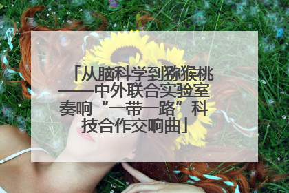 从脑科学到猕猴桃——中外联合实验室奏响“一带一路”科技合作交响曲