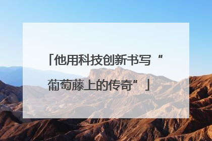 他用科技创新书写“葡萄藤上的传奇”