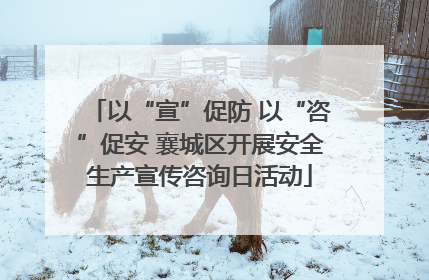 以“宣”促防 以“咨”促安 襄城区开展安全生产宣传咨询日活动