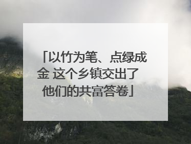 以竹为笔、点绿成金 这个乡镇交出了他们的共富答卷