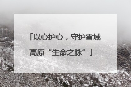 以心护心，守护雪域高原“生命之脉”