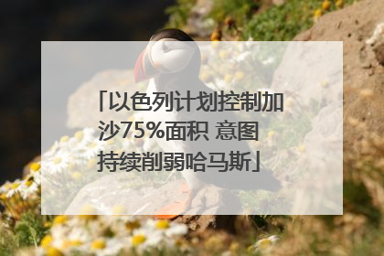 以色列计划控制加沙75%面积 意图持续削弱哈马斯