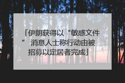 伊朗获得以“敏感文件” 消息人士称行动由被招募以定居者完成