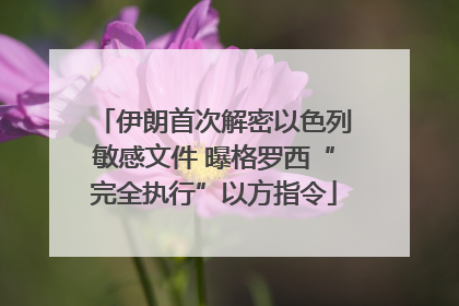 伊朗首次解密以色列敏感文件 曝格罗西“完全执行”以方指令