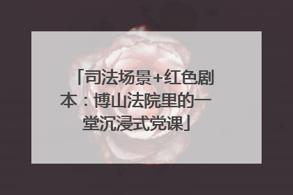 司法场景+红色剧本：博山法院里的一堂沉浸式党课