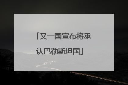 又一国宣布将承认巴勒斯坦国